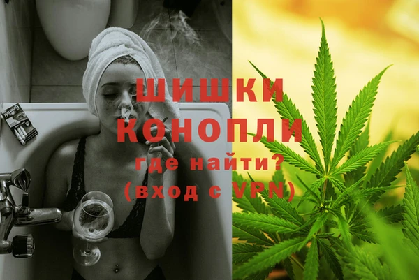 гидра Балахна