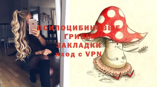 прущие крисы Армянск
