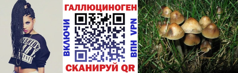 Галлюциногенные грибы Magic Shrooms  Курильск 